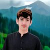 bahar.ali1336