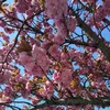 huyen_22087
