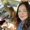 the_dog_photographer