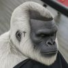 jyeti713