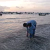 abir_ctg_bd