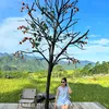 thuy0106194