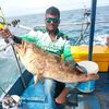 2586kumar