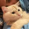 leneyytunes_