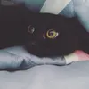zu_bi9