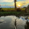kenhmientay66