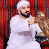 mohammadalbanaa