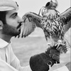 ياسر الشمري 🦅