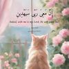 wafaa_hamidou
