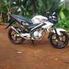 alidia0406