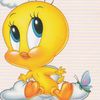 83piolyn