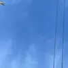 tpt12_1