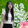 nguyetanh9x2