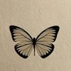 amyl59