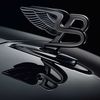 faisal_oud