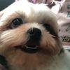 tootsiepuchie