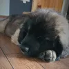 mini_bialy