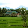 titiapriani8393