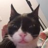 ray0ut.of.order