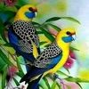 user13980501