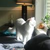 marijke232