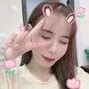 habang.260625