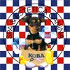 _the_dog_barber