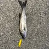 giichi35