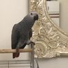 khaled__1010