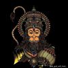 iamsapiens16