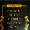 thefrog_1231