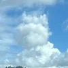 knsk_25