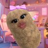 qiren_3