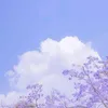 i64_25