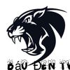 baoden_tv93