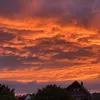 erik.295o