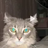 ih8uparo