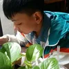 baoquocduong0