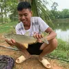 nguyenhaidang6686