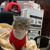 julie_ten_la_chip