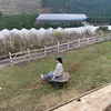 ylinh_1316