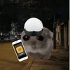 chilnel