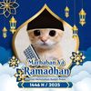 riz_yan04