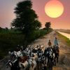 mohsinmirza58177