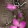 s.ahmed160