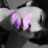 zaid010121