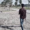 dizhjg