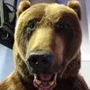 aleksandrdogadin8