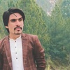 zahir_yousafzai1