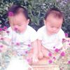 anan_banluehan1998